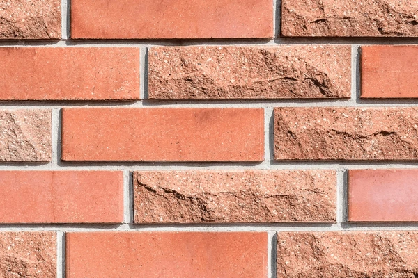 Decorative Fly Ash Bricks